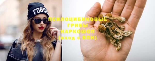альфа пвп Нефтегорск