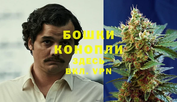 альфа пвп Нефтегорск
