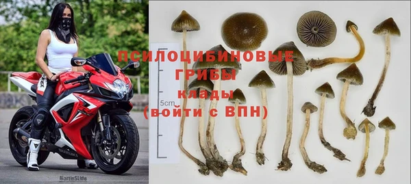 соль курить ск Нея